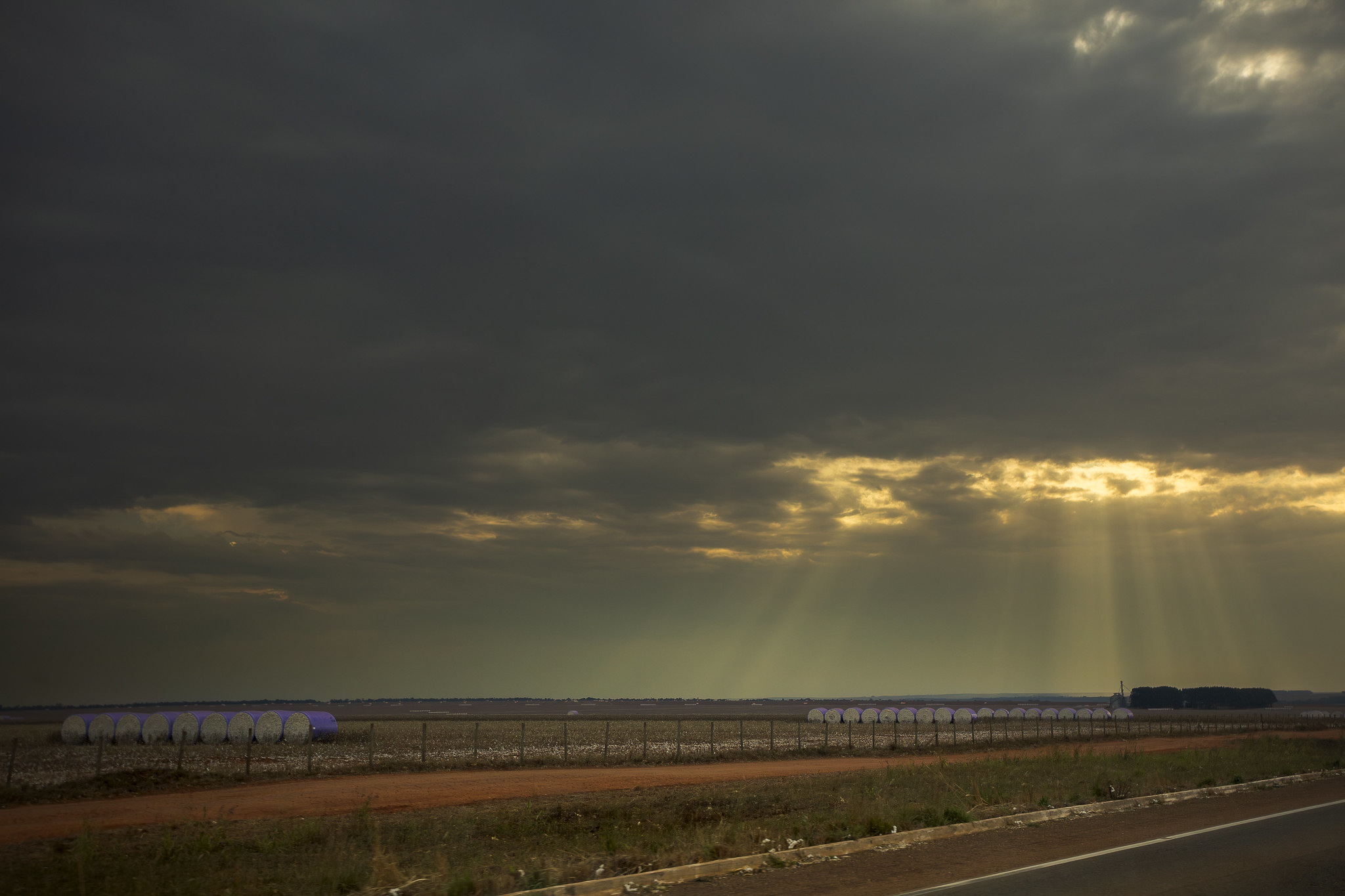 Imagem Expedição Chap Guim - ESEC Serra das Araras--4 da expedição de expedicoes/araras_25